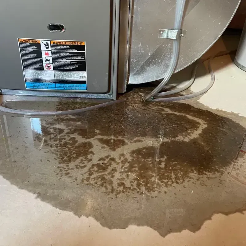 Appliance Leak Cleanup in Bermuda Dunes, CA